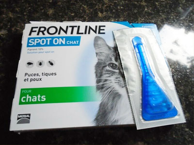 Is Frontline Good for Cats?